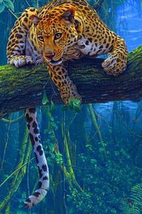 Снежный Барс