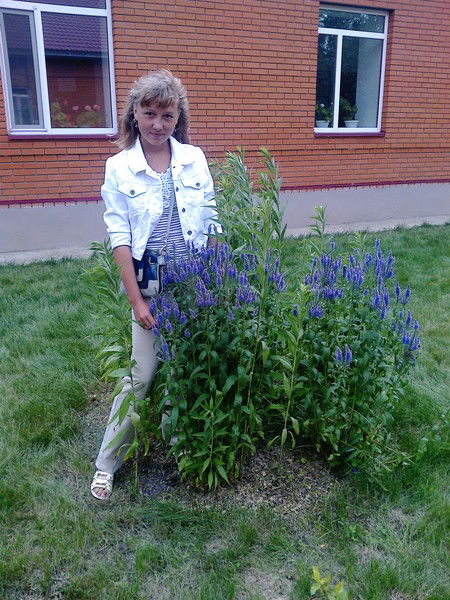 Евгения Низаева