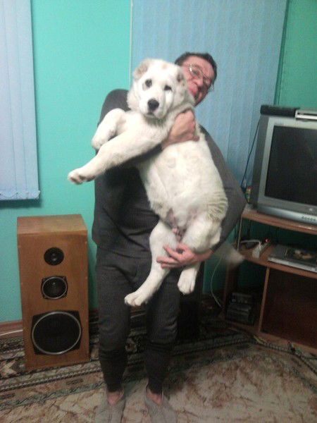 Алексей Чуднов