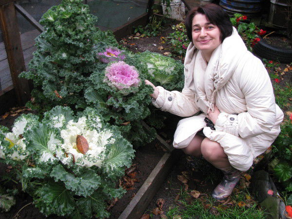 Вита Ярославская