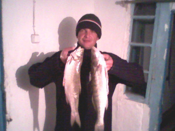 Сергей Городецкий