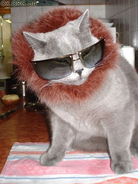 Наталья Храпова