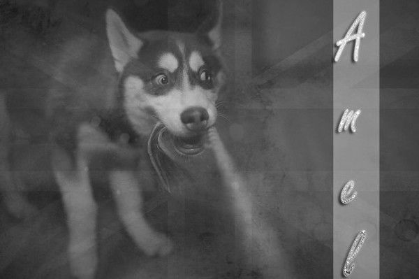 Это Же Нафаня