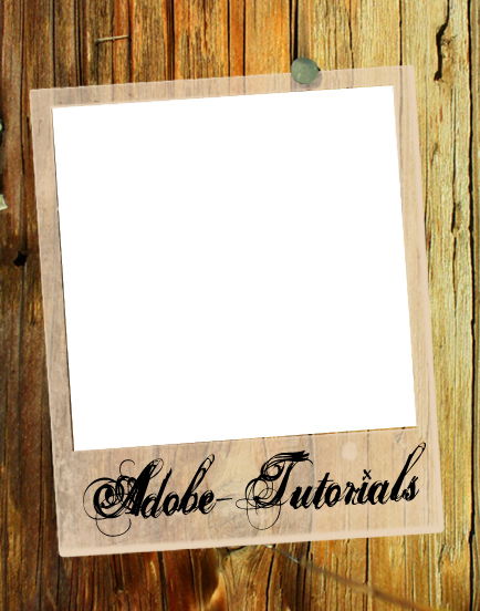 Светлана Ефимова