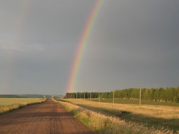 Стр Лесничество Минлесхоза Рб