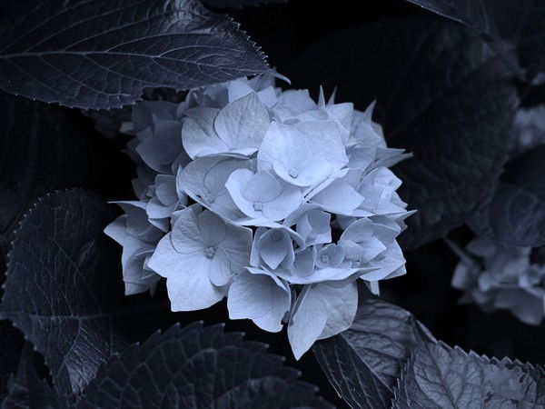 Дамет Дуйсенбаева