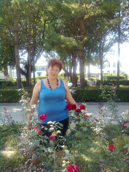 Солнце Ясный День