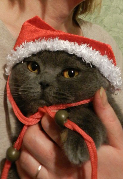 Надежда Шумейко