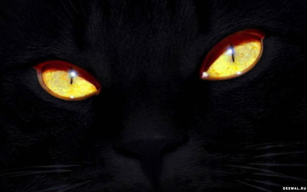 Наталия Кафанова