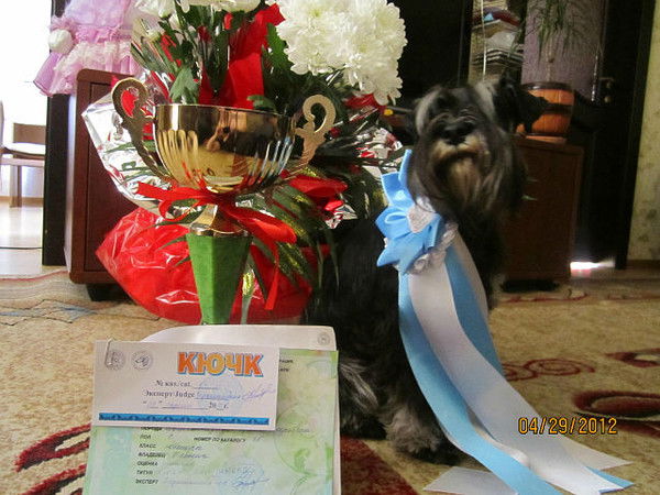 Оленич Ирина