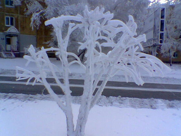 Алексей Зуев