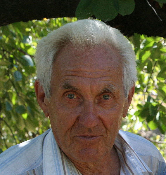 Борис Ворончихин