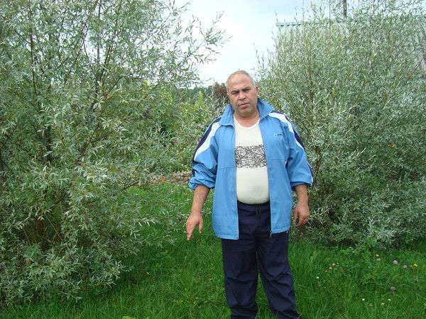 Ватан Пашаев