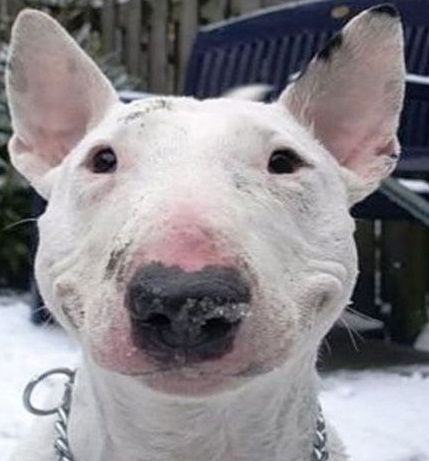 Е6Aнyтая Навсюгoлoвyмодыршa