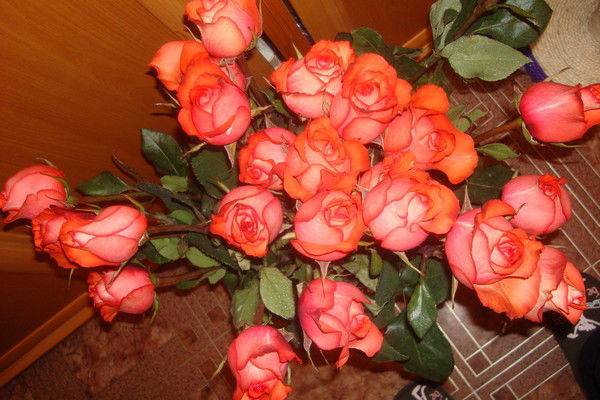 Мария Мария