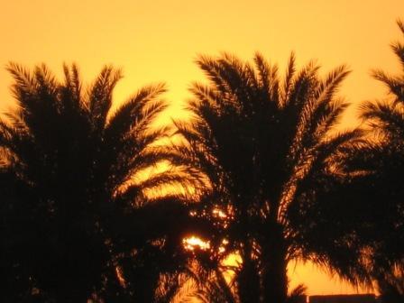 Максим *******