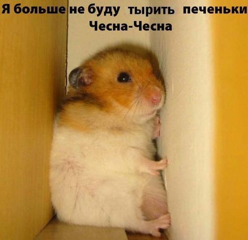 Марианна Кушнир