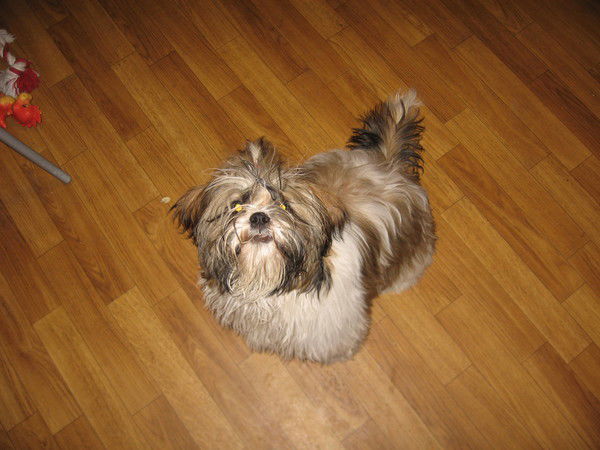 Павел Истомин