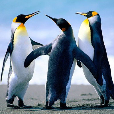 Никита Белоусов