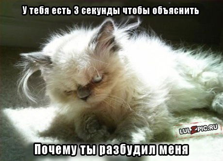 Анатолий Слободчиков