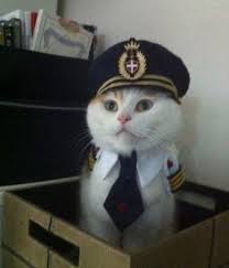 Сергей Андриевский