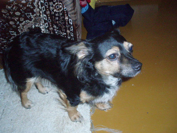 Людмила Редичкина