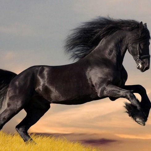 Марина Кудлаева