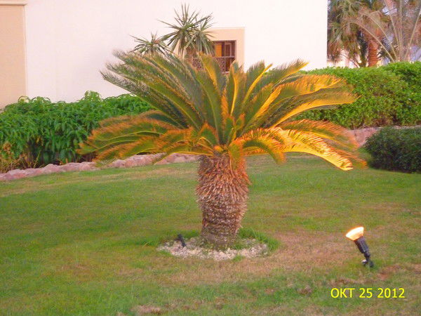 Ольга Батурина