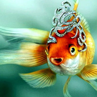 Назерке Токсабай