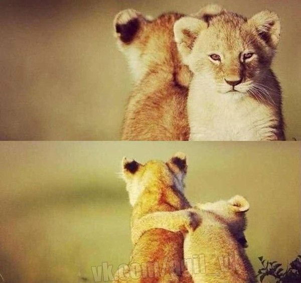 Юлия Печникова