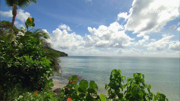 Никита Кужель