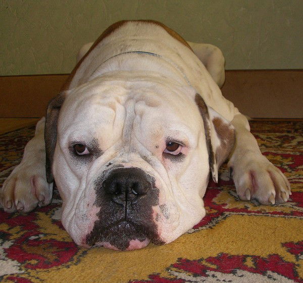 Александр Воробьев