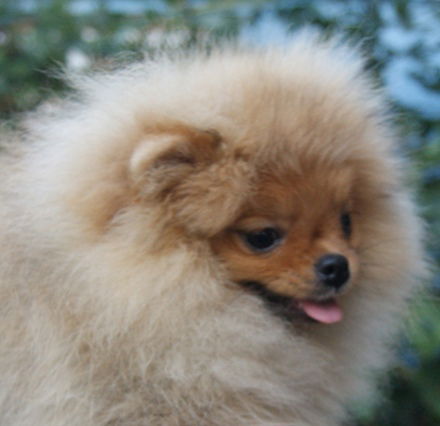 Оксана Мазалова