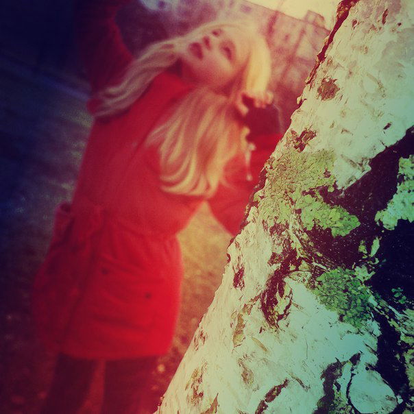 Дашута Дашута