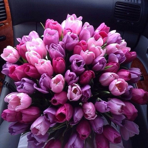 Виктория Тихонова