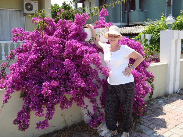 Алла Яблоцкая