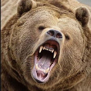 Евгений Лихацких