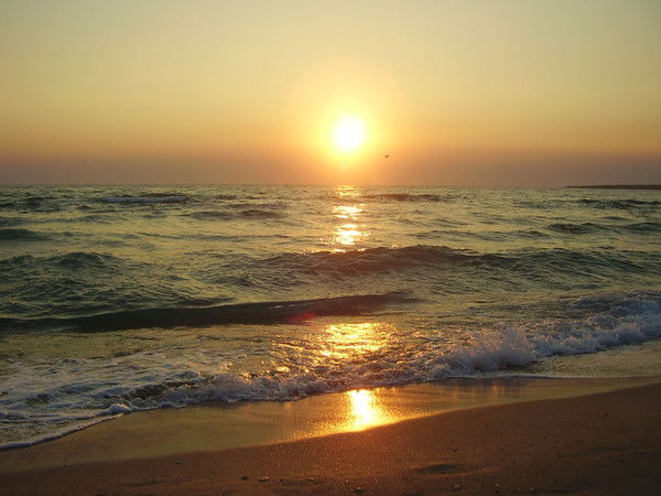 Юлия Шамурова