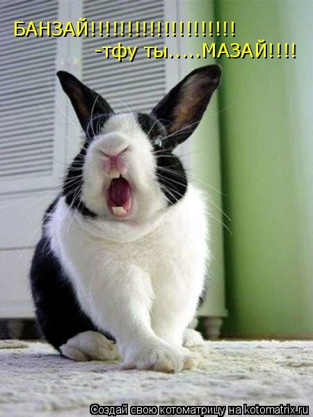 Павел Метелёв