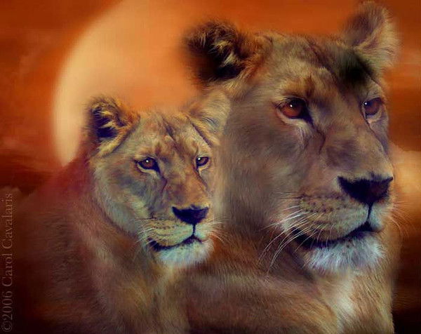 Светлана Рогозина