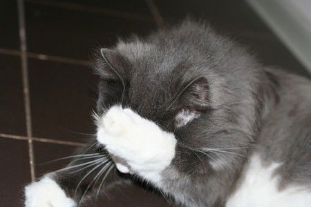 Валерия Суставова