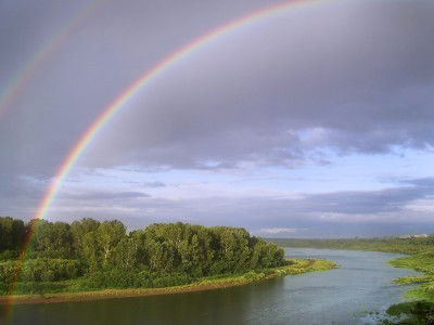 Левченко Ольга