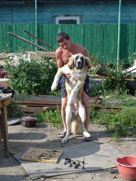 Насим Абдрахманов