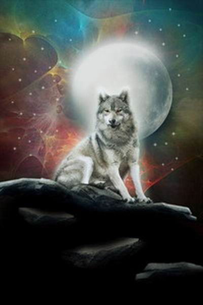 Бекзат Камбар