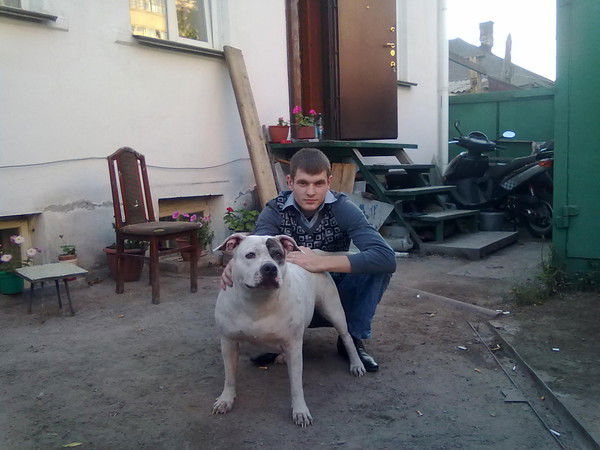 Владимир Лосев