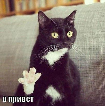 Валерия Михайловна