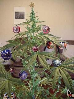 Александр Рудковский