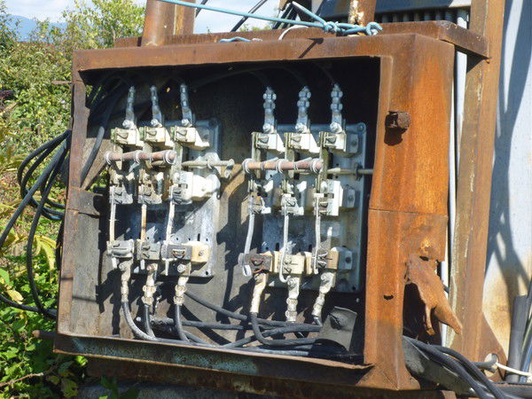 Марина Васильева