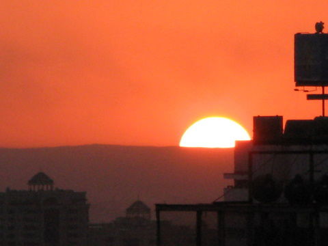 Дмитрий Мулявин