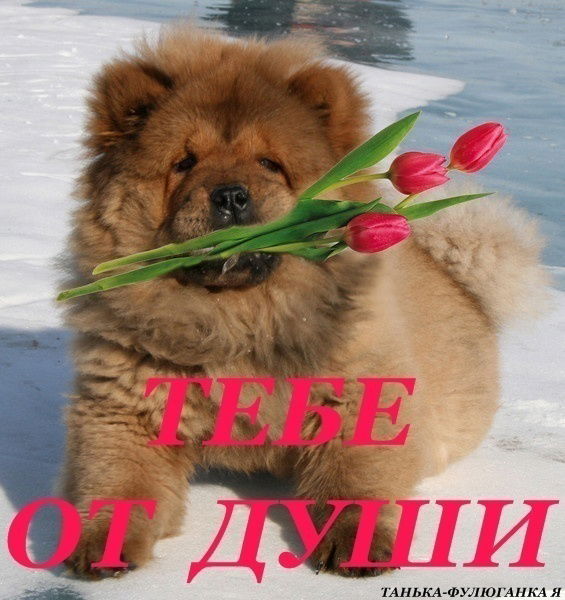 Лидия- Лидия